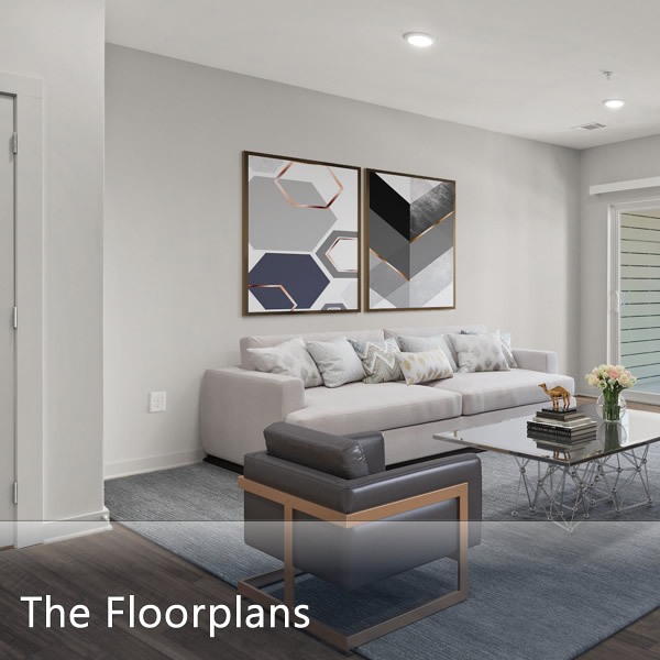 Spacious Floor Plans - COMING SOON